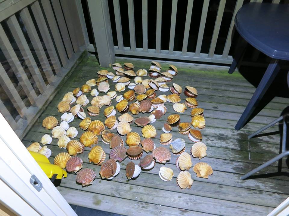 12239745_738990976205433_9001911494515746083_n