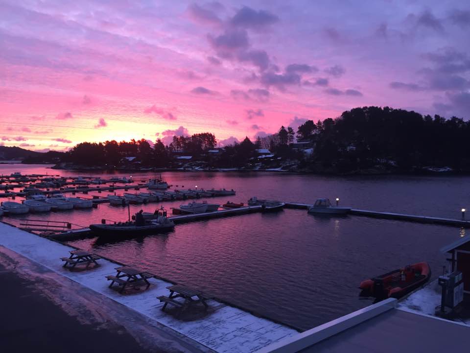 14993367_376521319349945_3033953063566971928_n