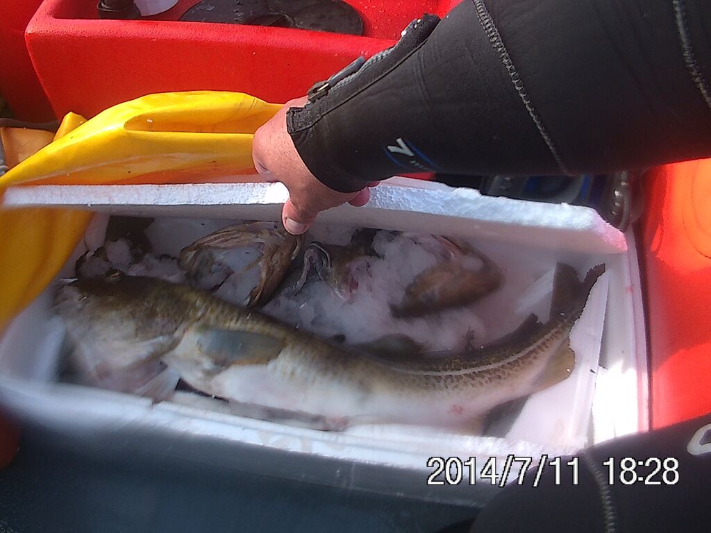 cS9nIcEBT-PrQ25kt8SHxEp1m-jAmK_tN_amupCDjLE