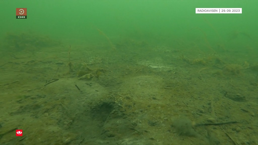 Rekordhøjt iltsvind i danske&nbsp;farvande