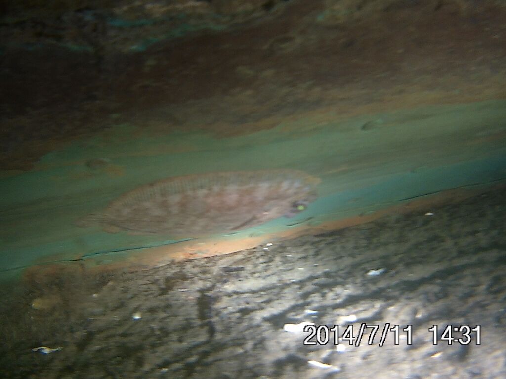 nr6cN0Zb9RwbUe5EKC2OIFsTJQehEx9JaitC9txTc38