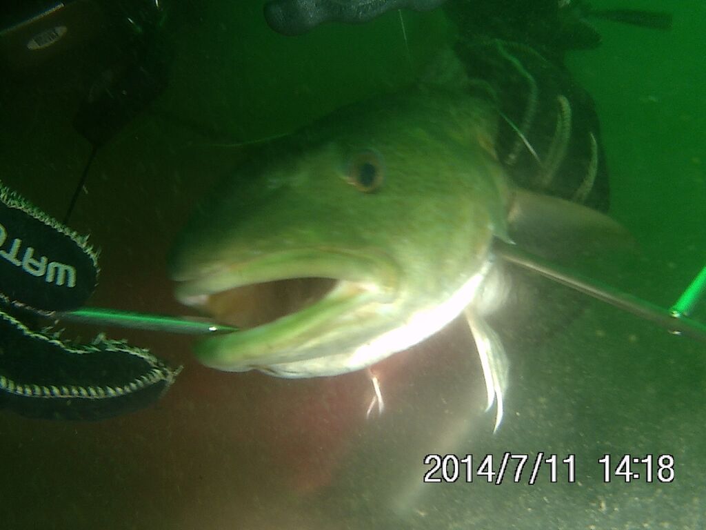 XX4LKEfiBBKIFc4ifMOiFa11O8U-tvIJDE1MVDLvR38